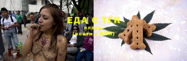 стаф Дмитриев