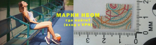 стаф Дмитриев
