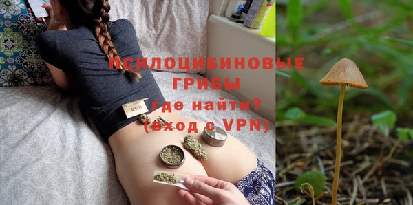 PSILOCYBIN Горно-Алтайск