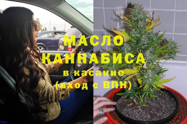 стаф Дмитриев