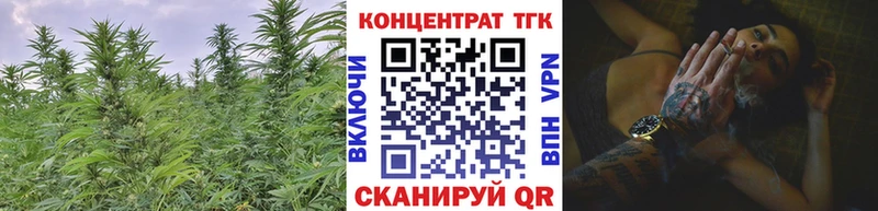 Дистиллят ТГК гашишное масло  Купить закладки  Выборг 