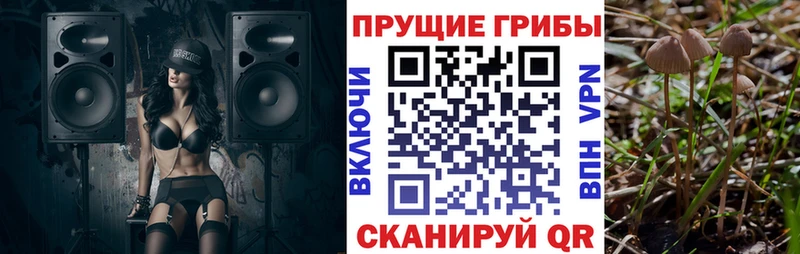 Купить  Выборг  Псилоцибиновые грибы мухоморы 
